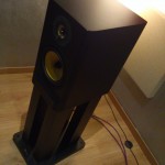 Davis Acoustics Nikita 2 - Sound Machine Milano